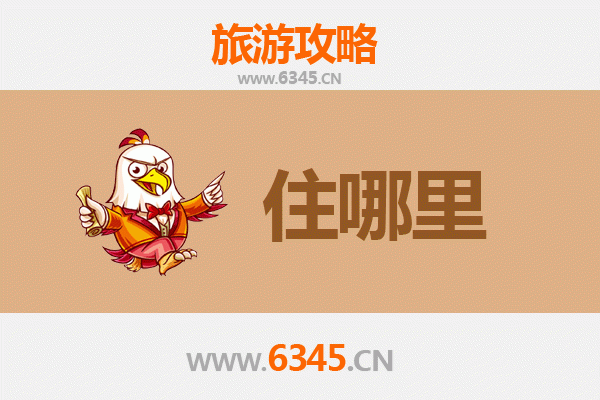 苏州太仓旅游民宿攻略：江南水乡的静谧之选